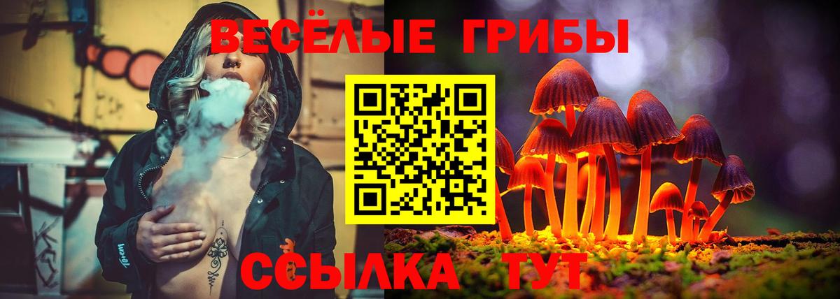 Салават  Псилоцибиновые грибы Psilocybine cubensis  Вход с VPN  Псилоцибиновые грибы Psilocybe 